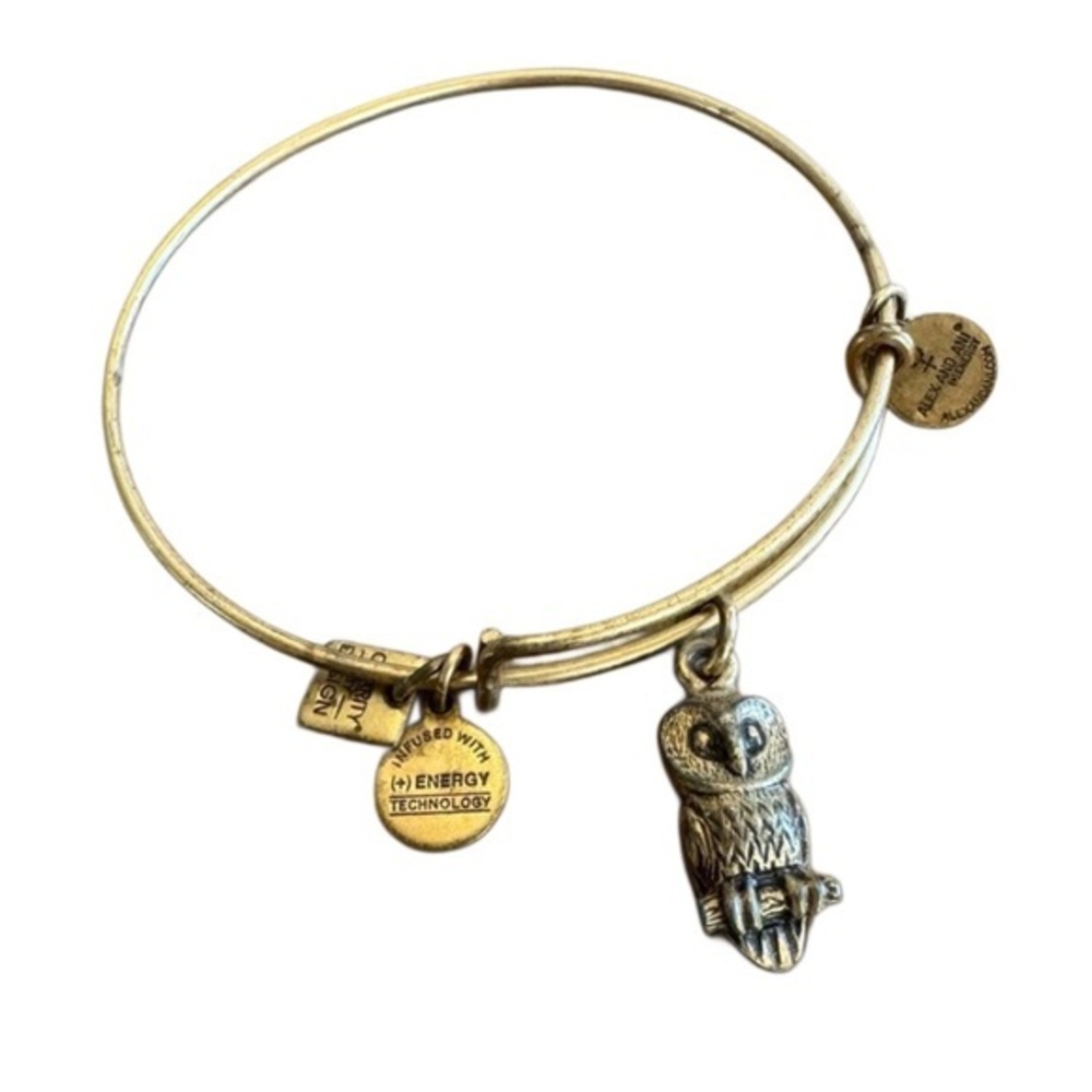 Alex and Ani Gold Owl Charm Bracelet